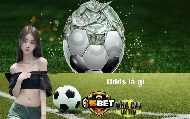 Odds Là Gì Trong Cá Cược?